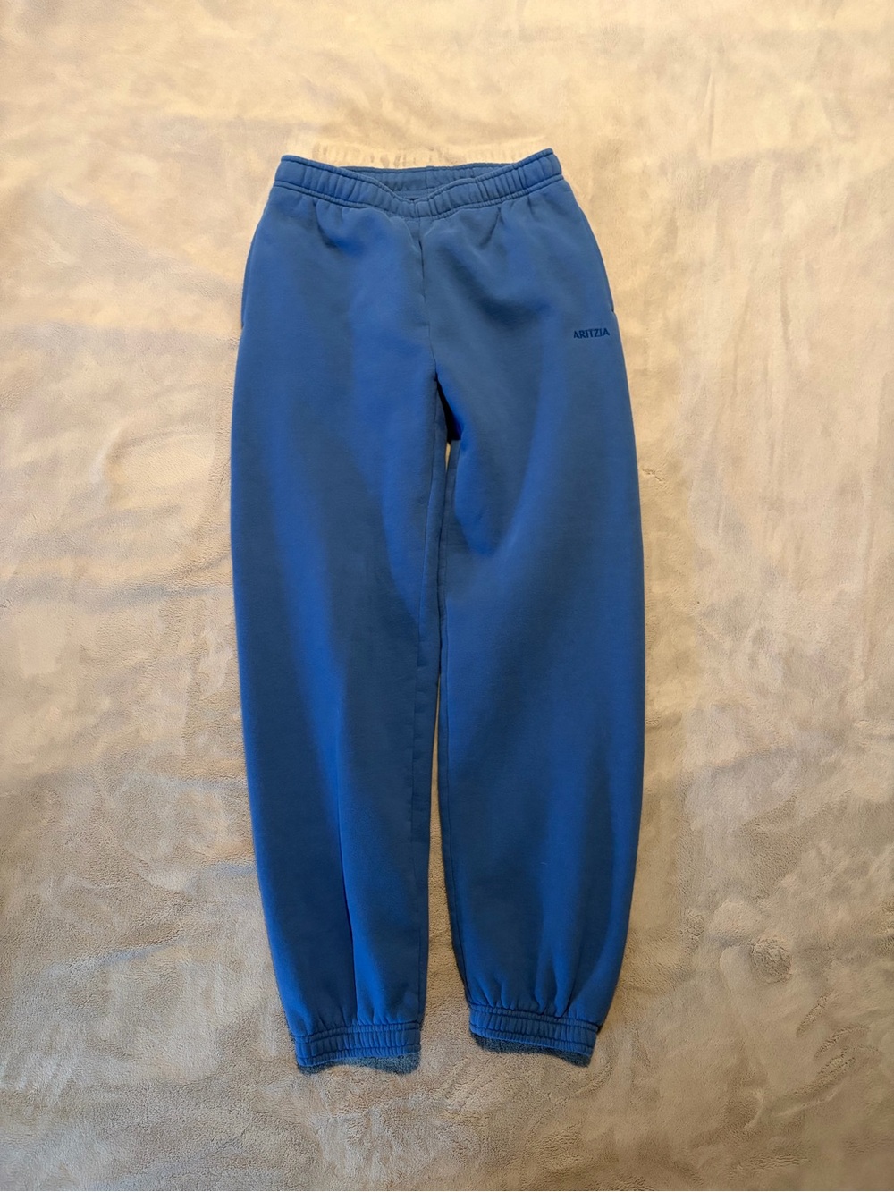 Aritzia Women’s Blue Fleece Joggers